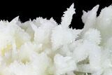 Sparkling Cave Calcite (Aragonite) Formation - Potosi Mine, Mexico #154064-4